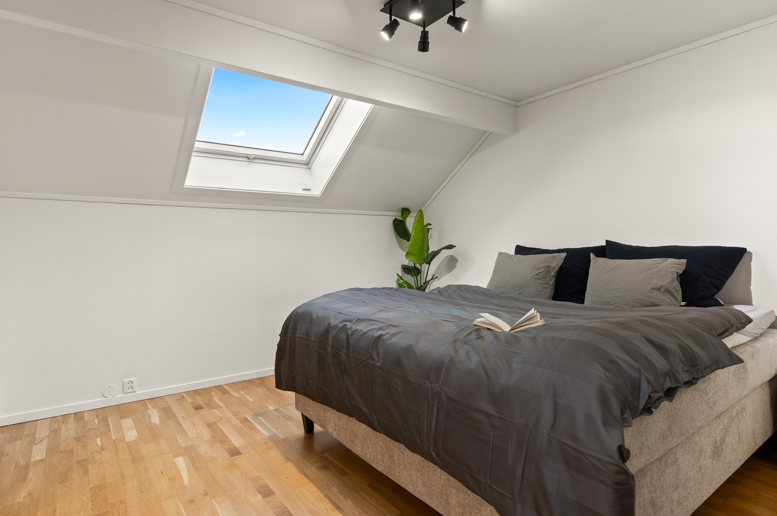 Soverom med sjarmerende takvindu Galleribilde