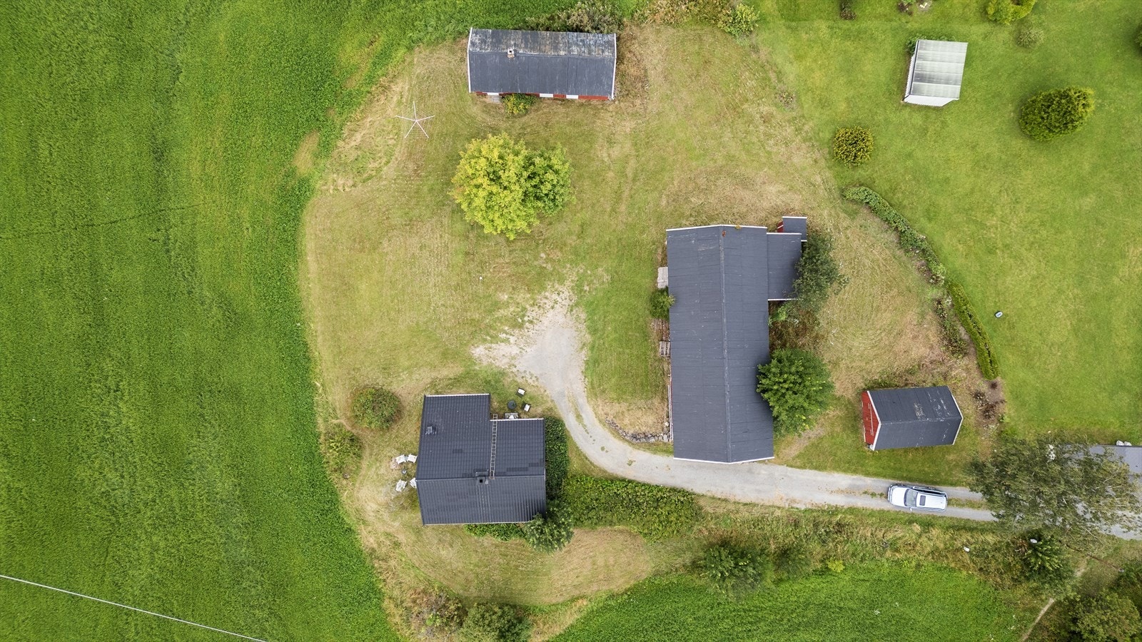 Tomtearealer. Galleribilde