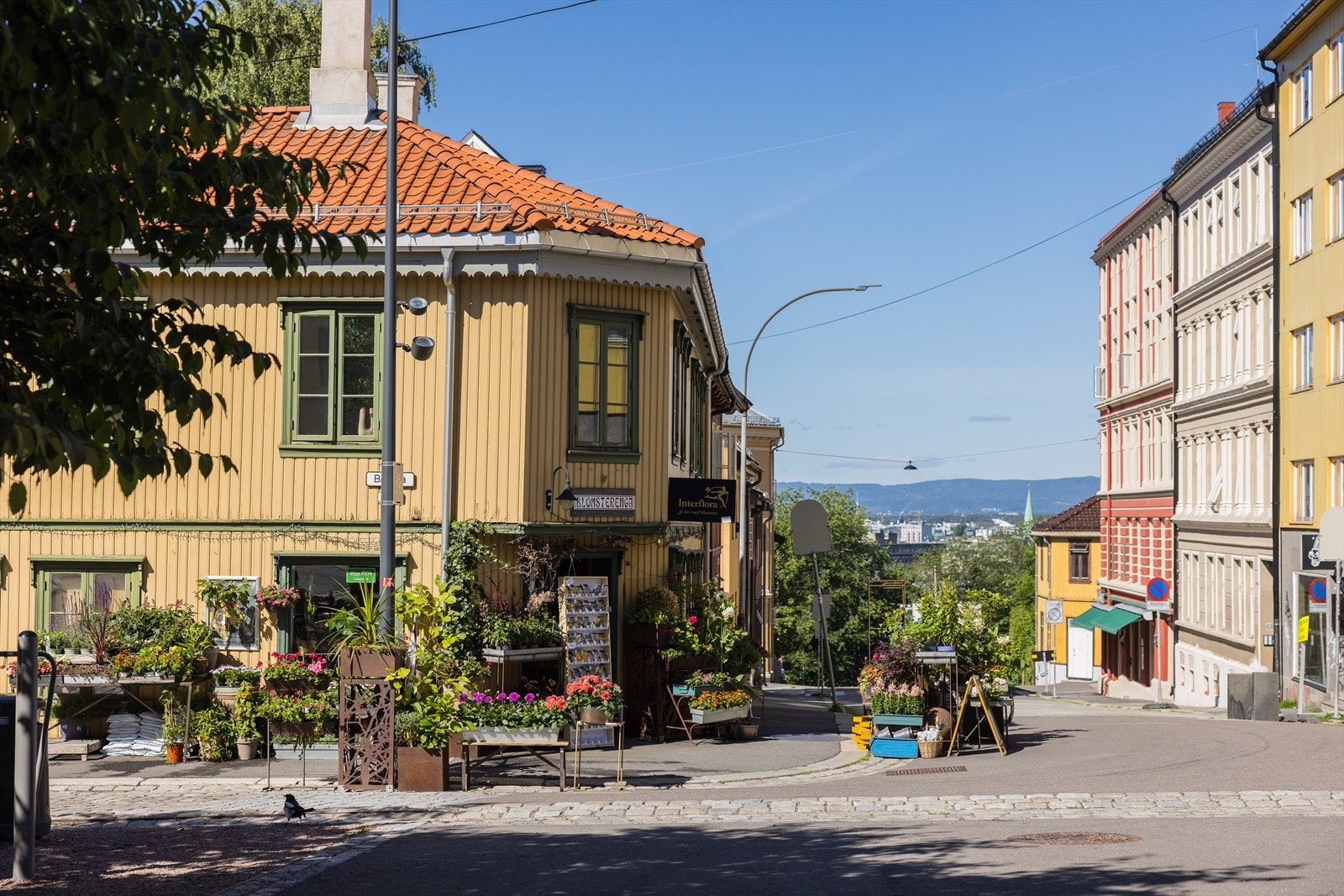 Den fantastiske blomsterbutikken "Blomsterenga" ligger plassert i hjertet av Kampen - rett ved kirken. Galleribilde