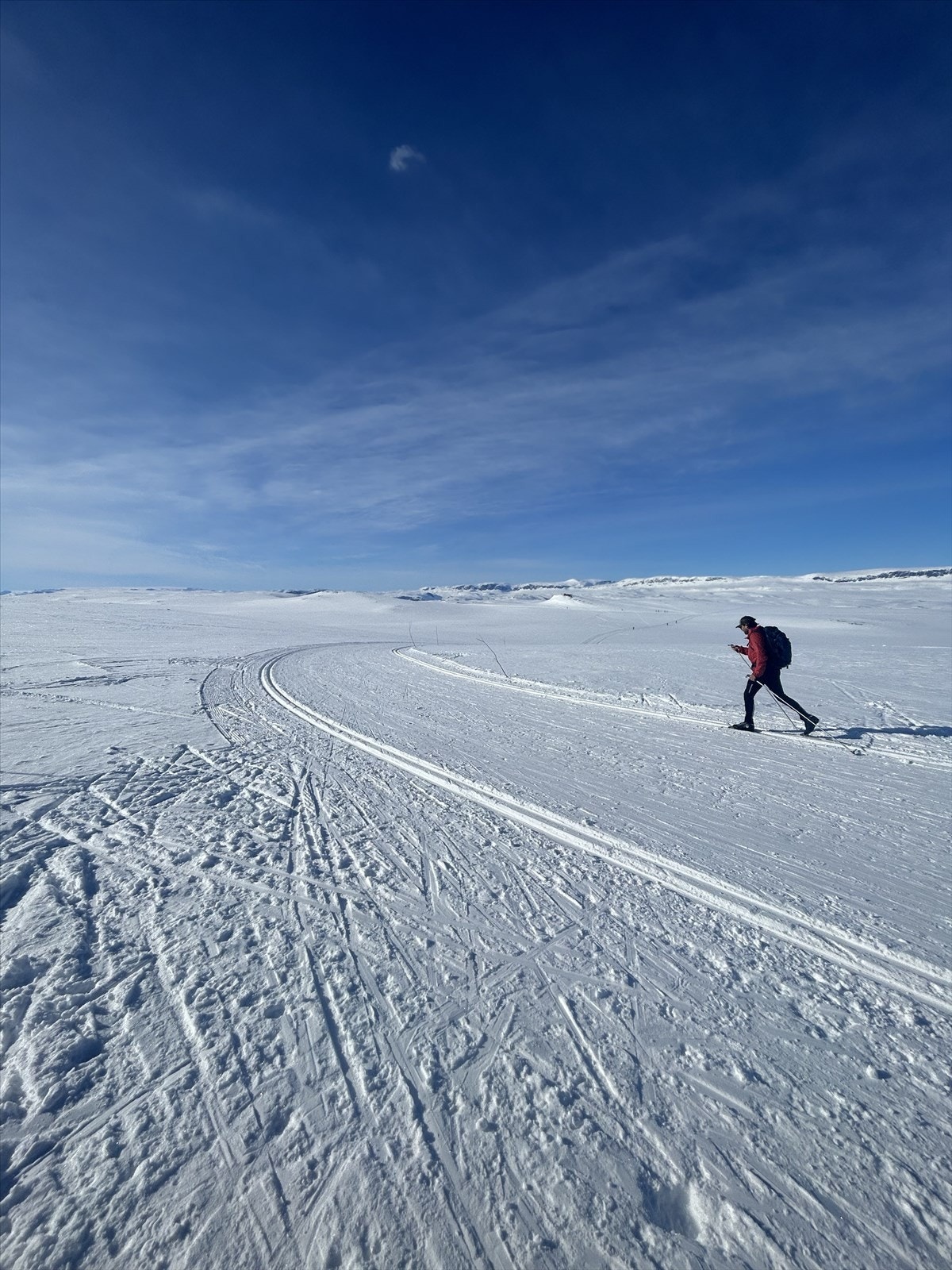 Selgers bilde Galleribilde