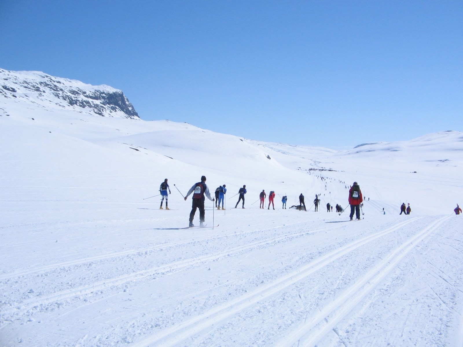 Skarvetrennet. Galleribilde