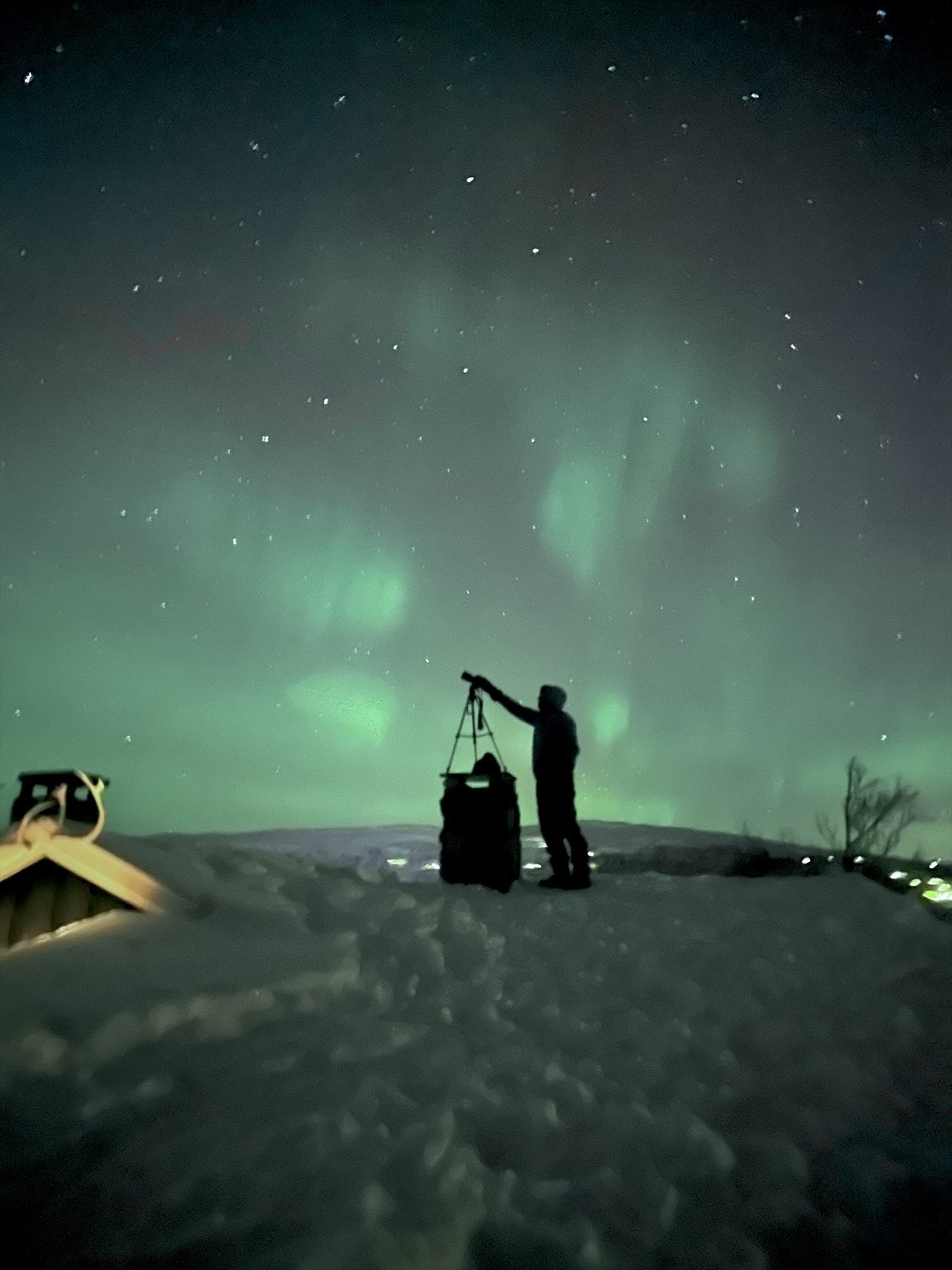 Selgers bilde Galleribilde