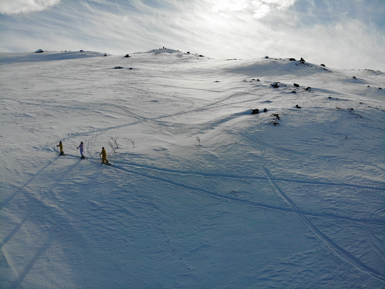 Selgers bilde Galleribilde