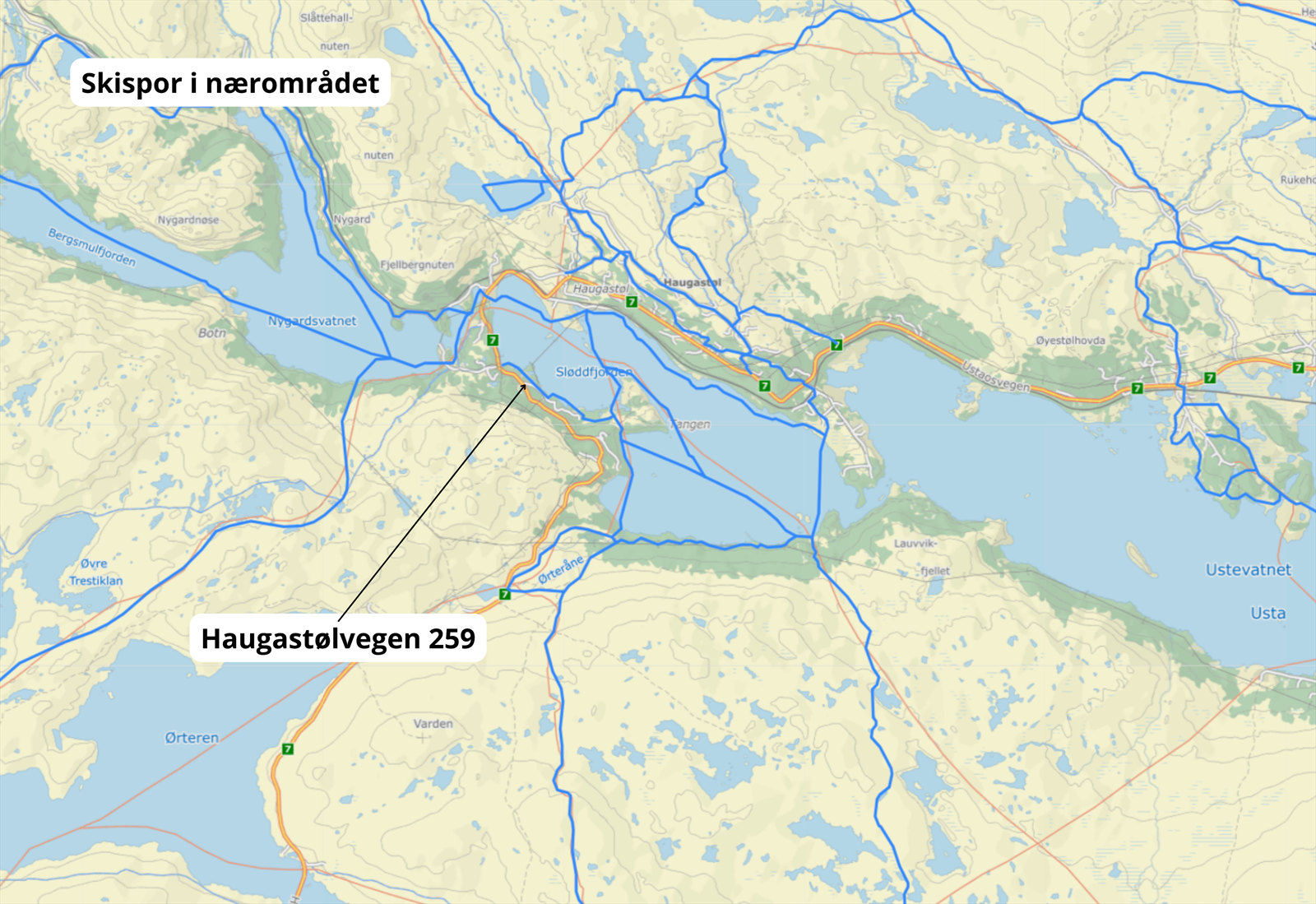 Skispor Haugastøl Galleribilde