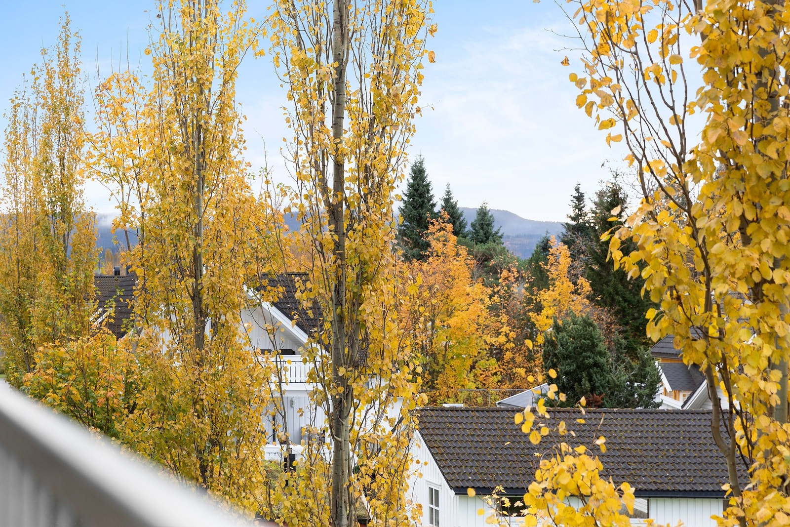 Godt utvalg av butikker og servicefunksjoner i nærheten - med bla. Coop Extra like ved. Galleribilde