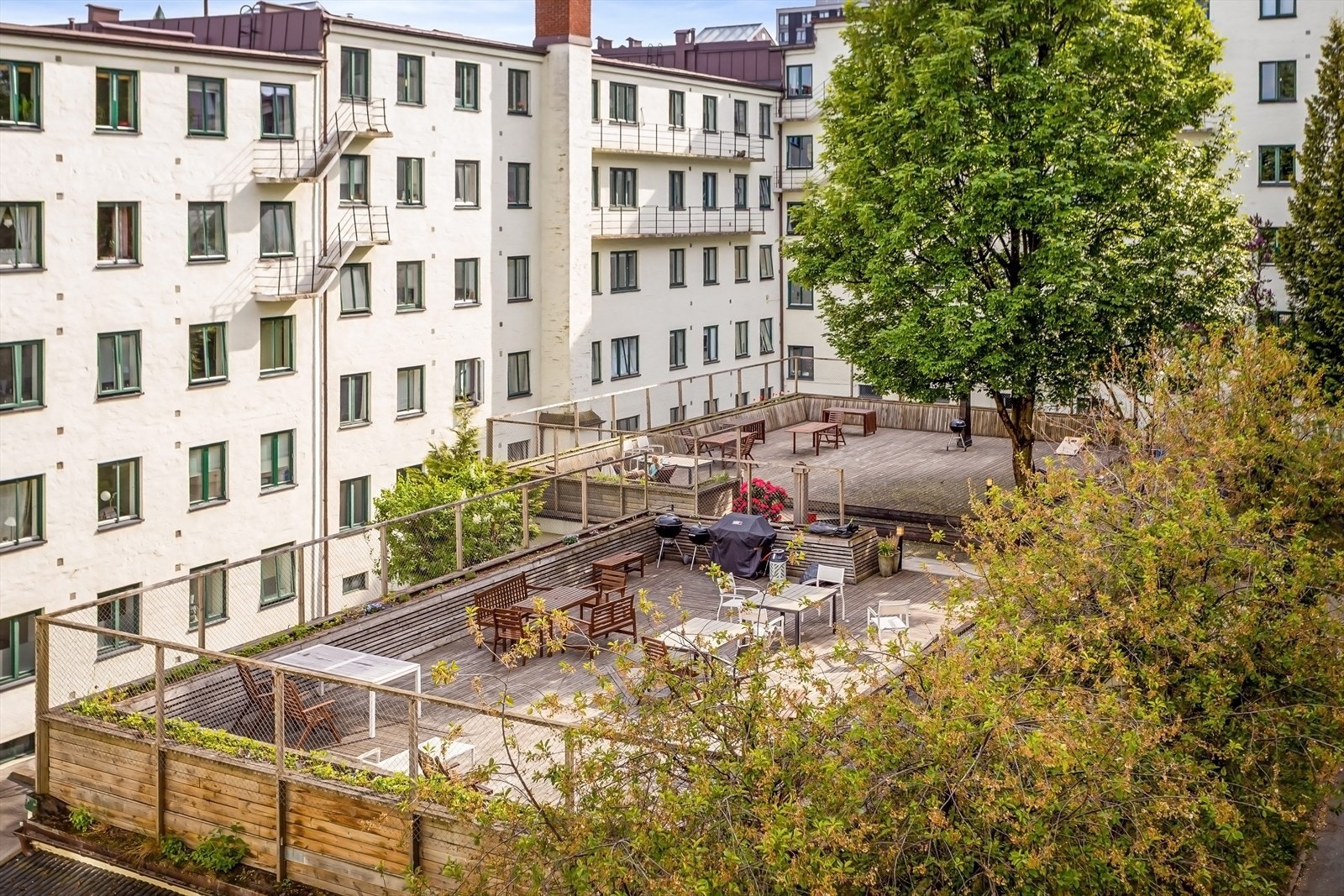 Bakgården er et koselig og sosialt samlingspunkt med grønne trær og planter Galleribilde