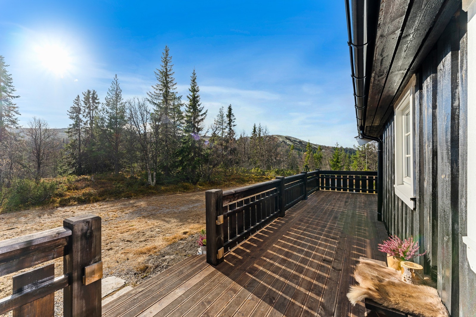 Hytta ligger usjenert til uten innsyn. Galleribilde