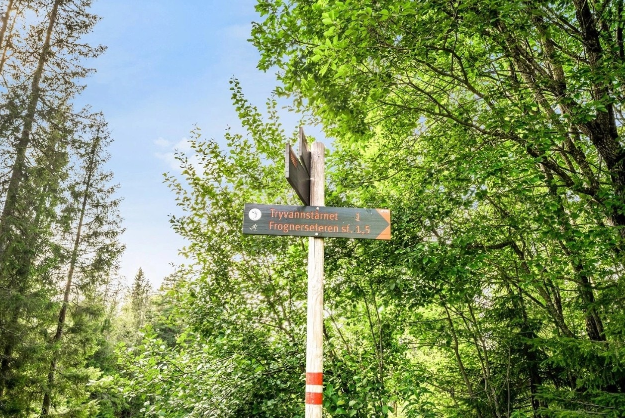 Herfra er det flotte turløyper som strekker seg i flere retninger. Galleribilde