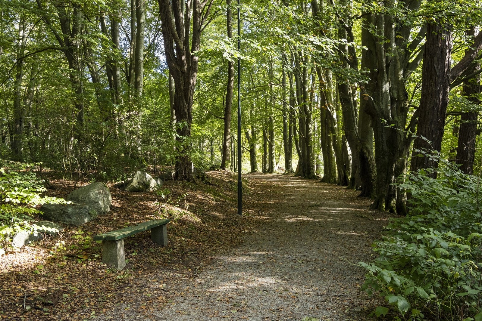 Eiendommen har svært sentral plassering med Mosvatnet som nærmeste nabo Galleribilde