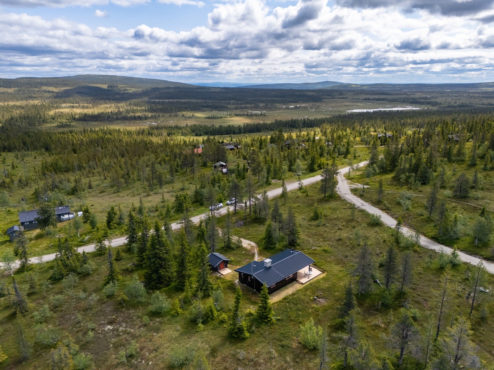 Velkommen til visning - husk påmelding! Galleribilde
