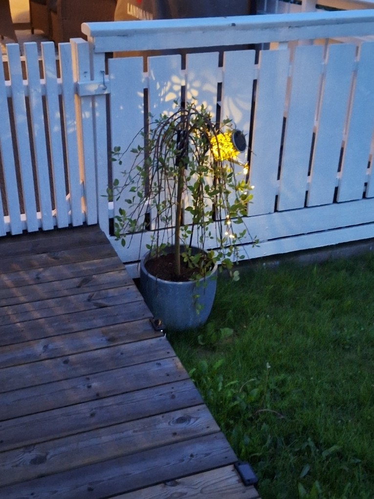 Bilde tatt av selger Galleribilde