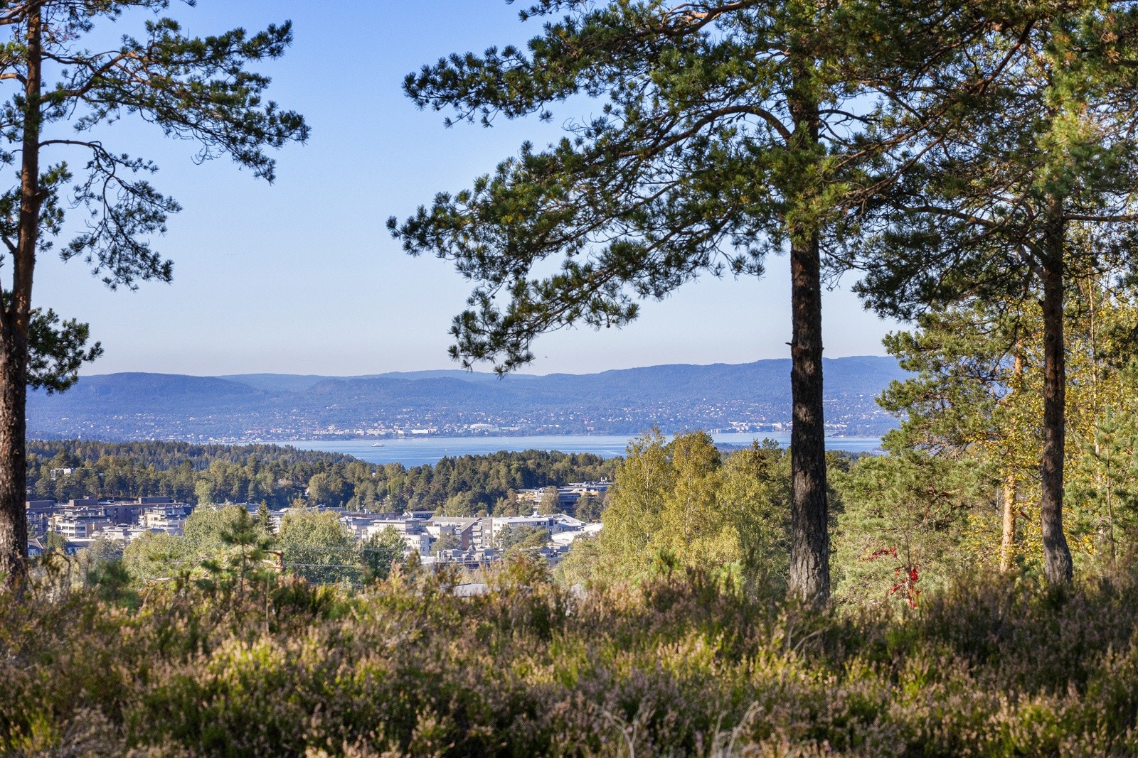 Utsiktsbilde mot Oslo tatt fra friområdet (bildet er zoomet) Galleribilde