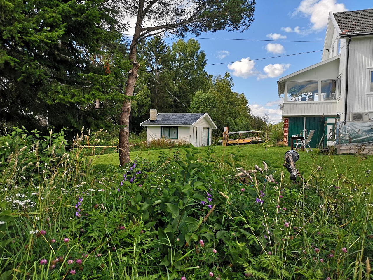 Sommerbilde Galleribilde