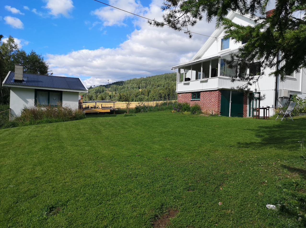 Sommerbilde Galleribilde