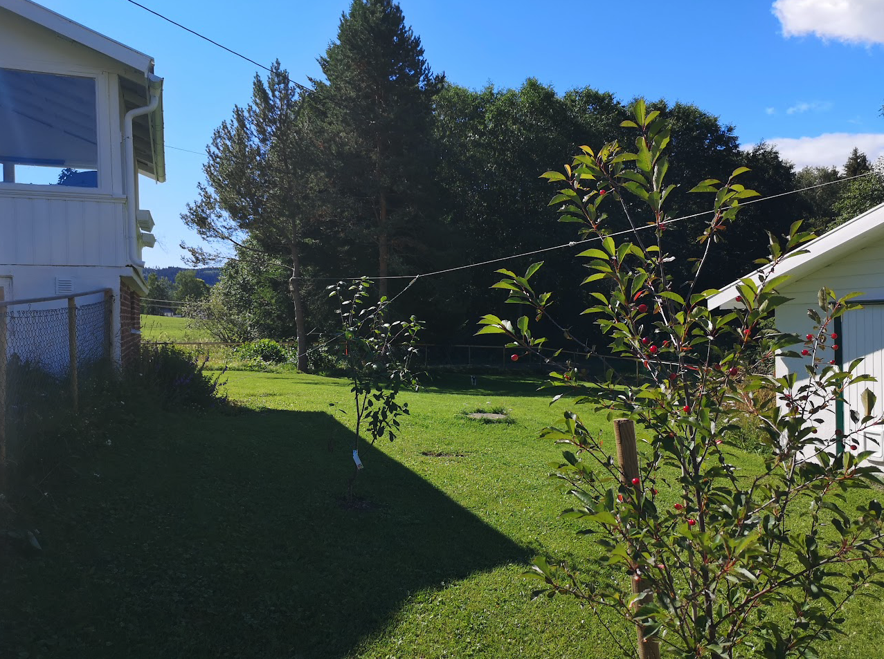 Sommerbilde Galleribilde