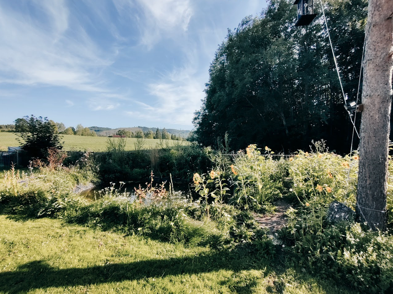 Sommerbilde Galleribilde