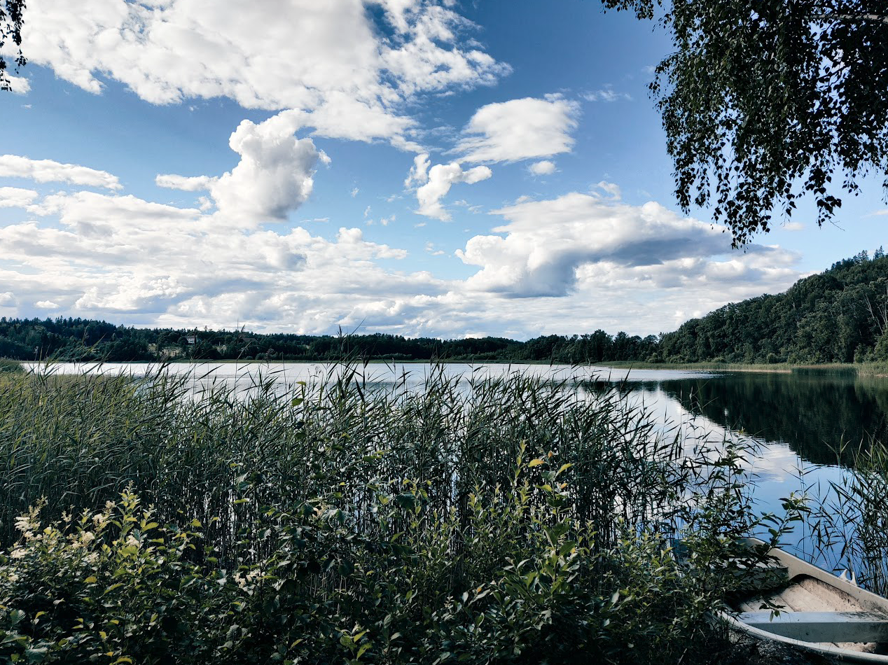 Sommerbilde Galleribilde