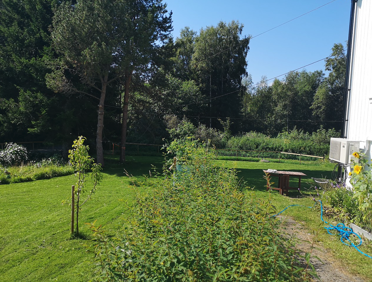 Sommerbilde Galleribilde