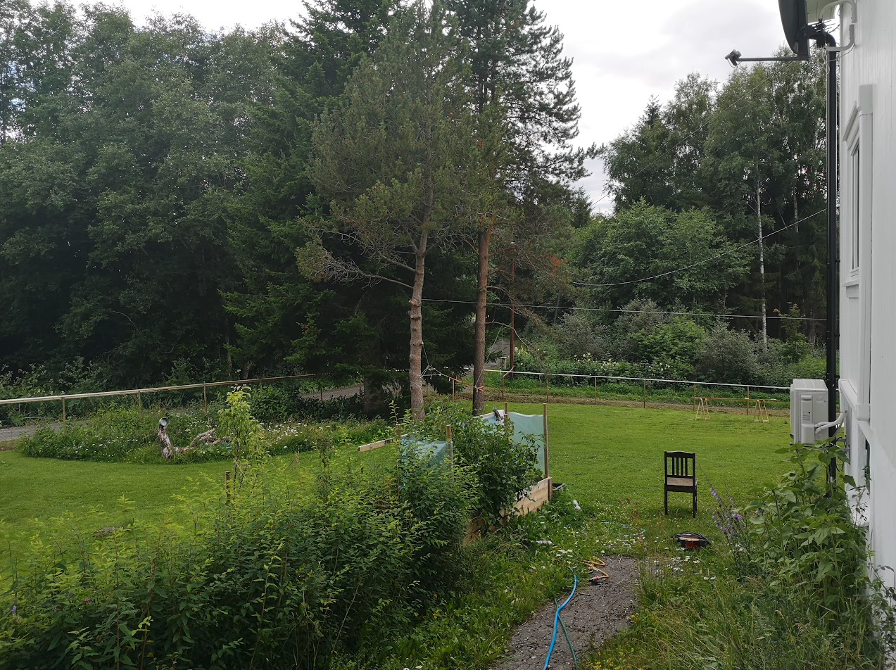 Sommerbilde Galleribilde