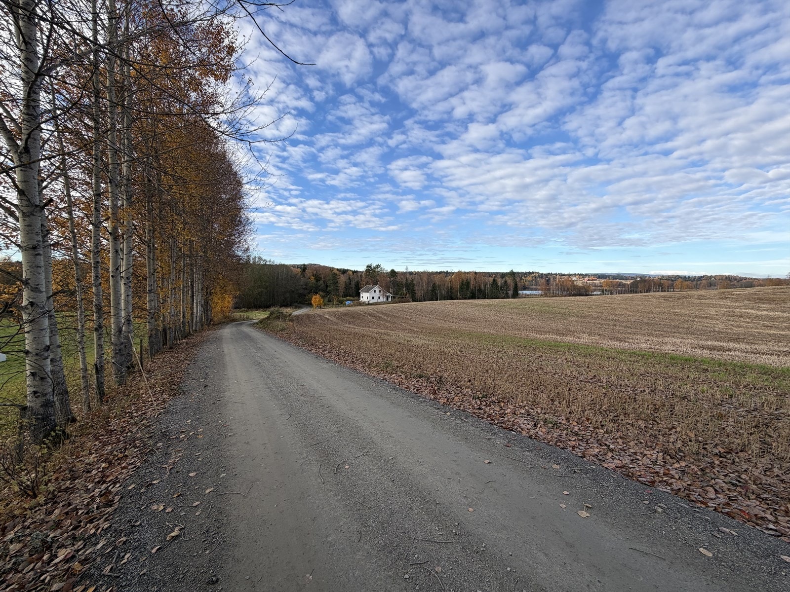 Omgivelser Galleribilde