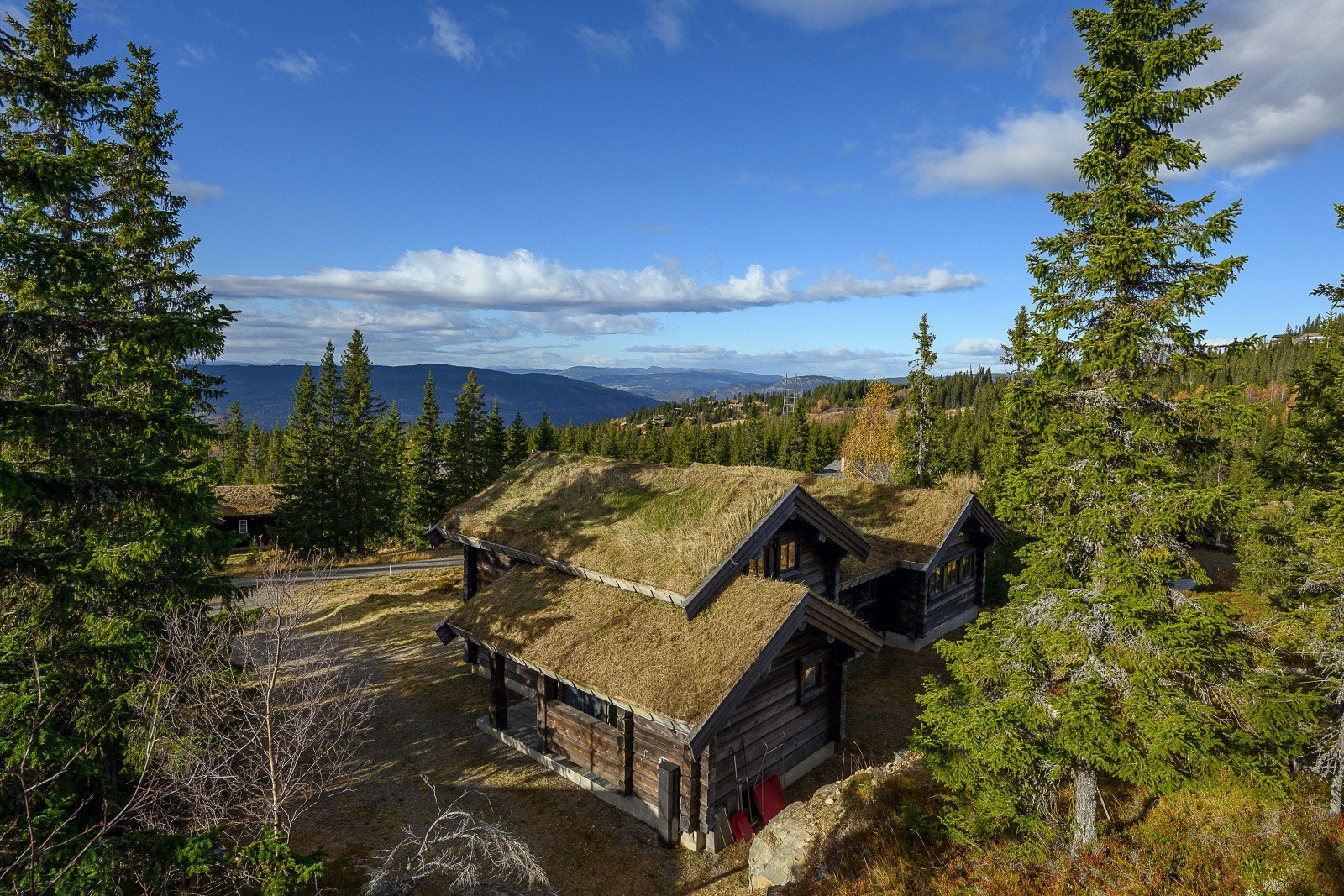 Solrik og romslig tomt med god plass for liten og stor. Galleribilde