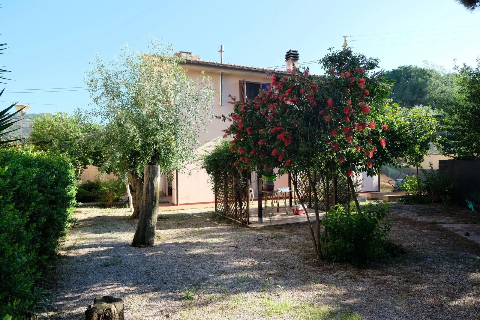 En romslig hage, passe stor. Galleribilde