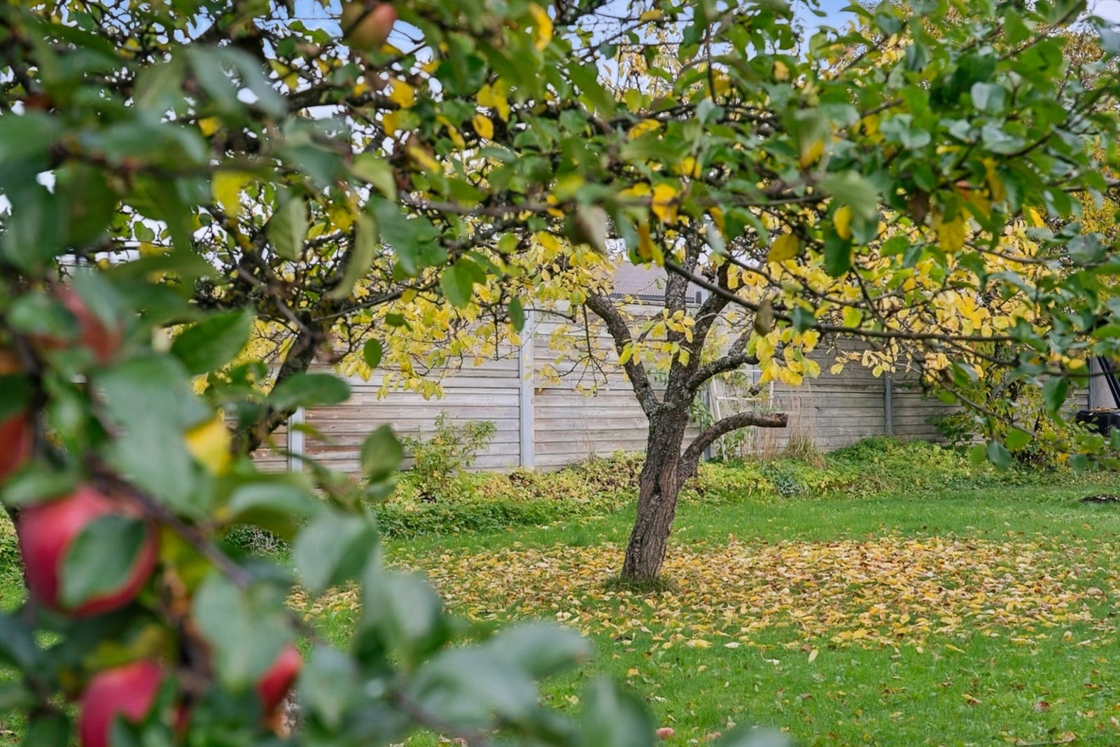 Velkommen til visning! Galleribilde