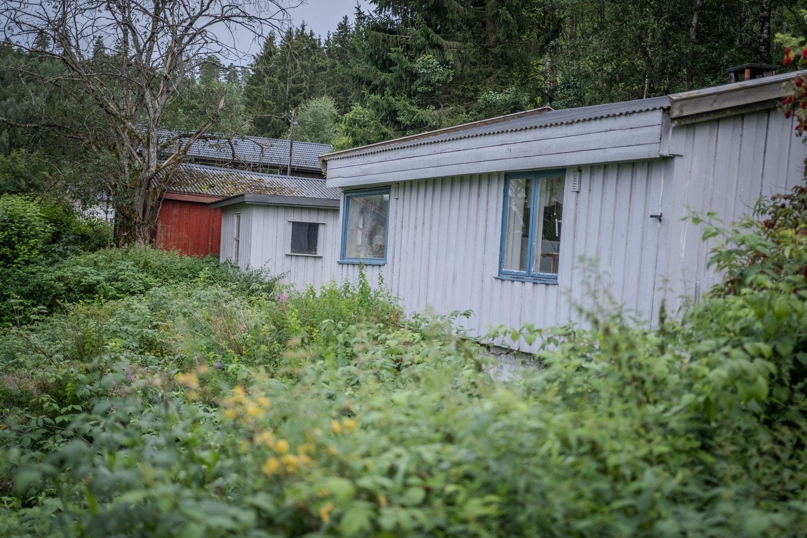 Fasade bygning som er kondemnabel Galleribilde