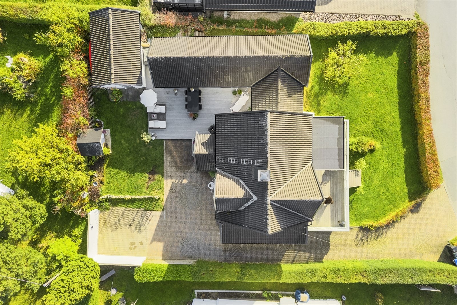 Fugleperspektiv Galleribilde