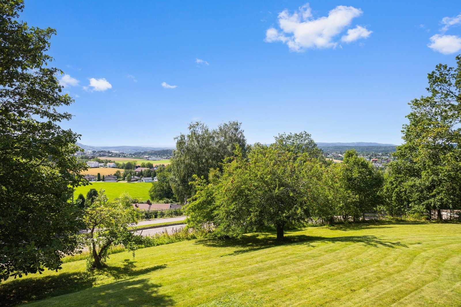 Stor usjenert hage med plener og frukttrær Galleribilde