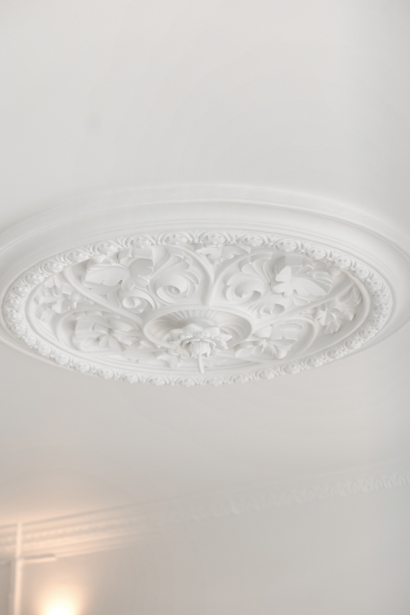 Nydelig rosett. Galleribilde