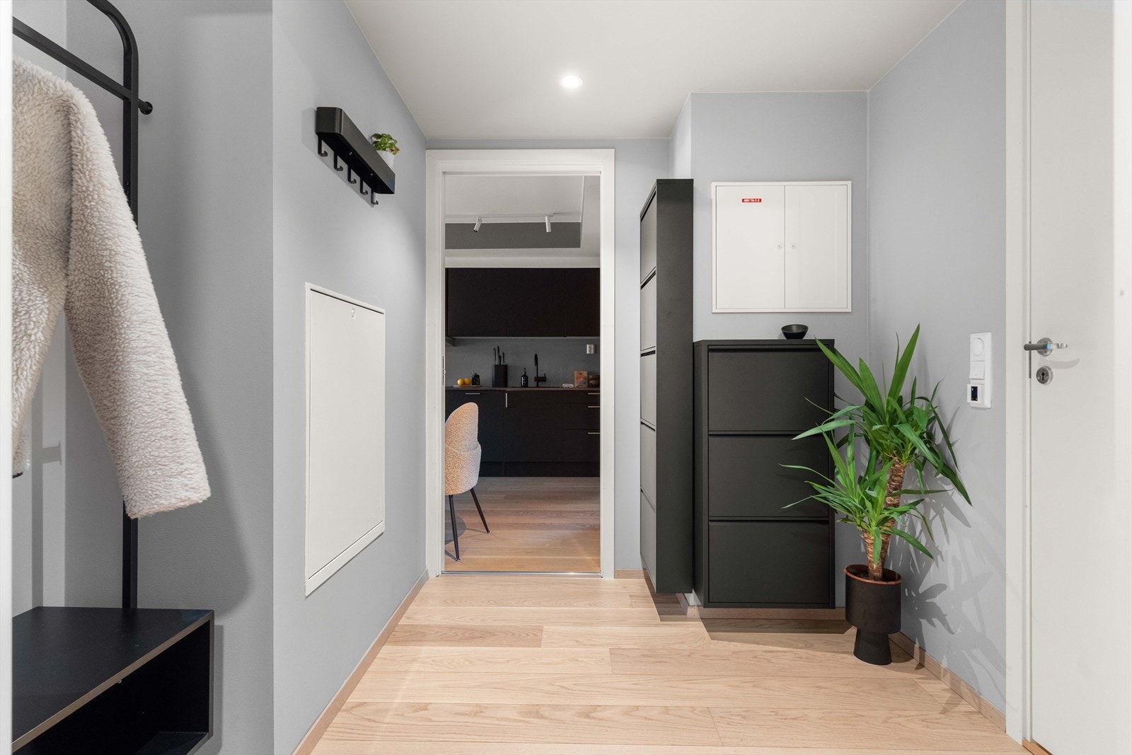 Velkommen til Landstads gate 43! Galleribilde