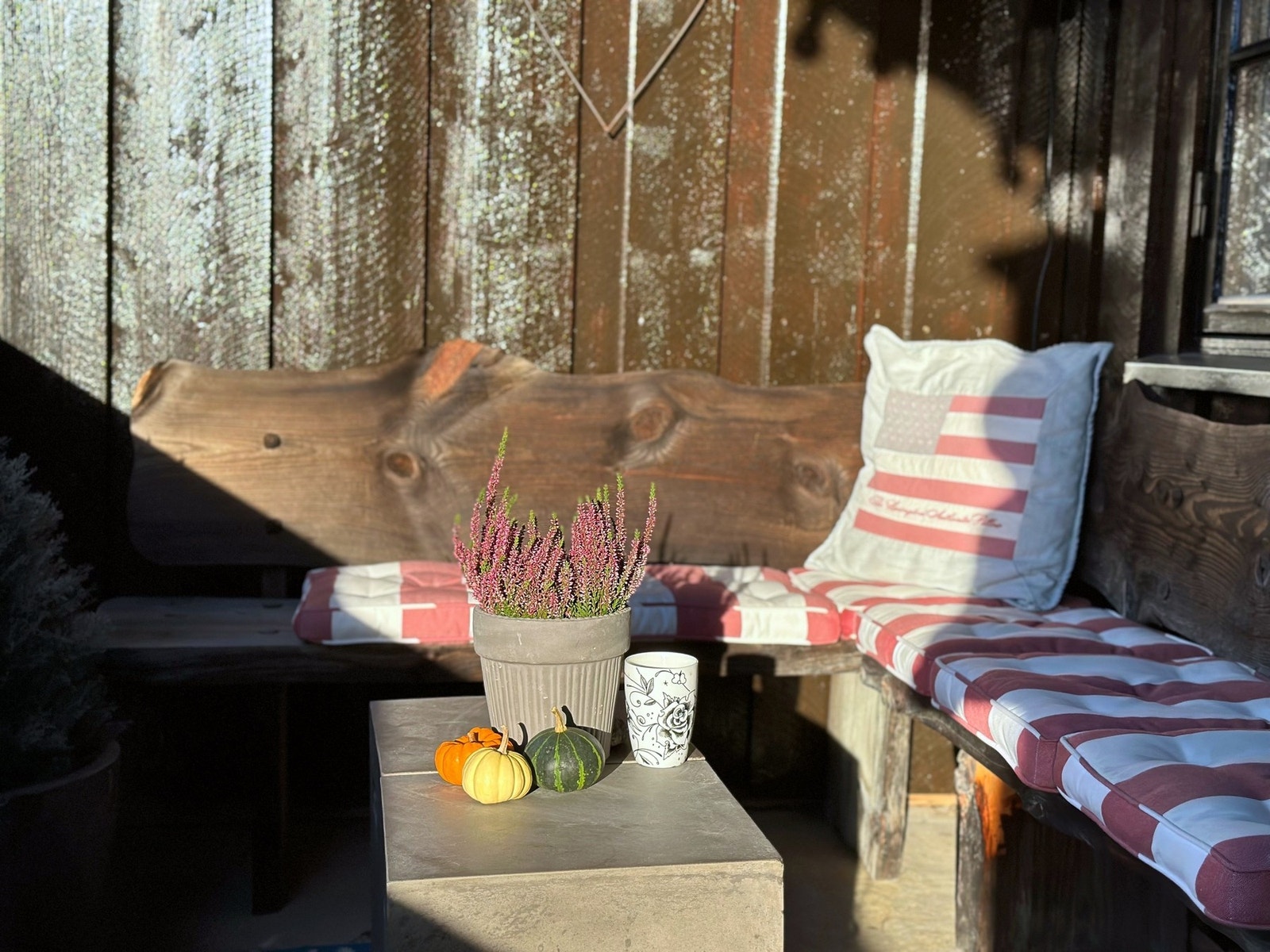 Her kan du finne roen! Galleribilde