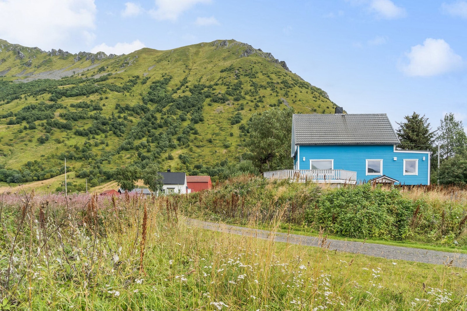 Her vokser blåbær, bringebær og seiersløk, og du finner et lite myrområde med trær og en naturlig kilde. Galleribilde