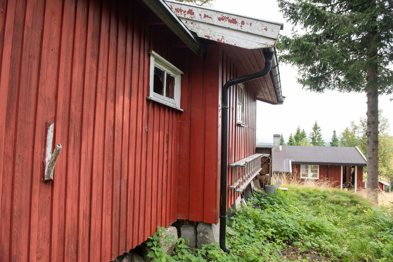 Baksiden av bod og gjestehytte. Galleribilde