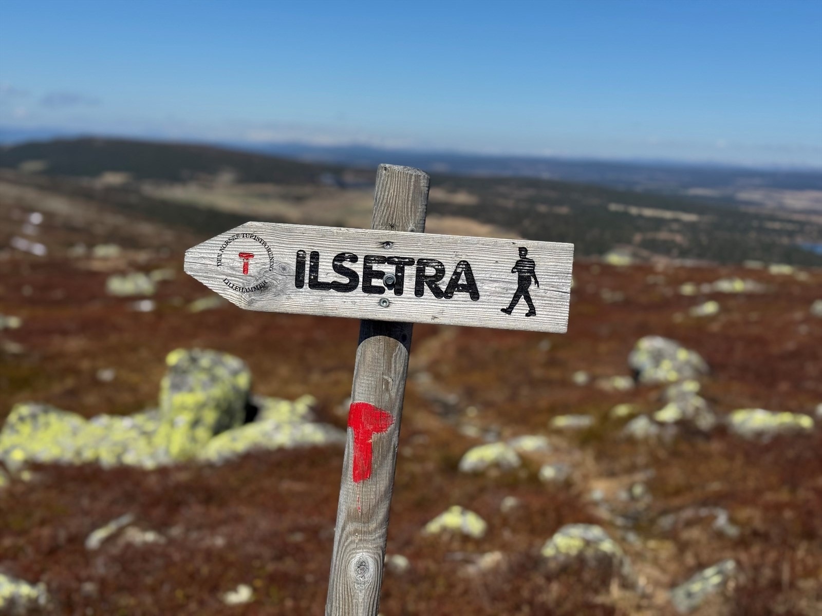 Flotte turmuligheter rett utenfor døra - merkede stier og skiløyper leder deg ut i variert og vakkert høyfjellsterreng. Galleribilde