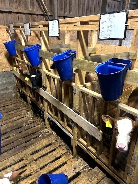 Driftsbygning Galleribilde