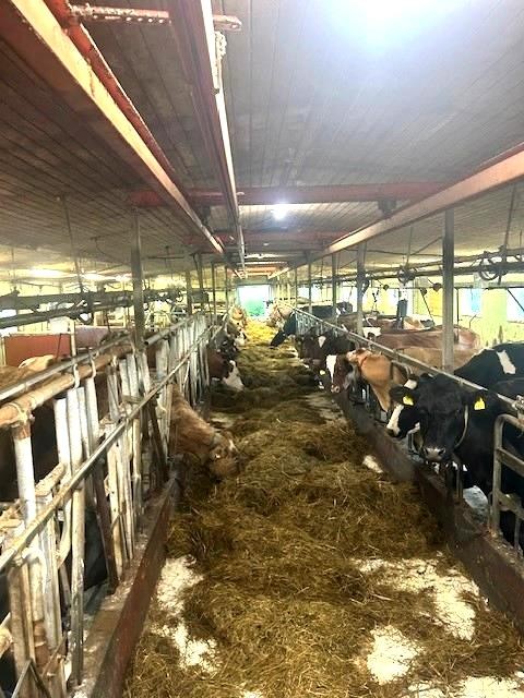 Driftsbygning Galleribilde