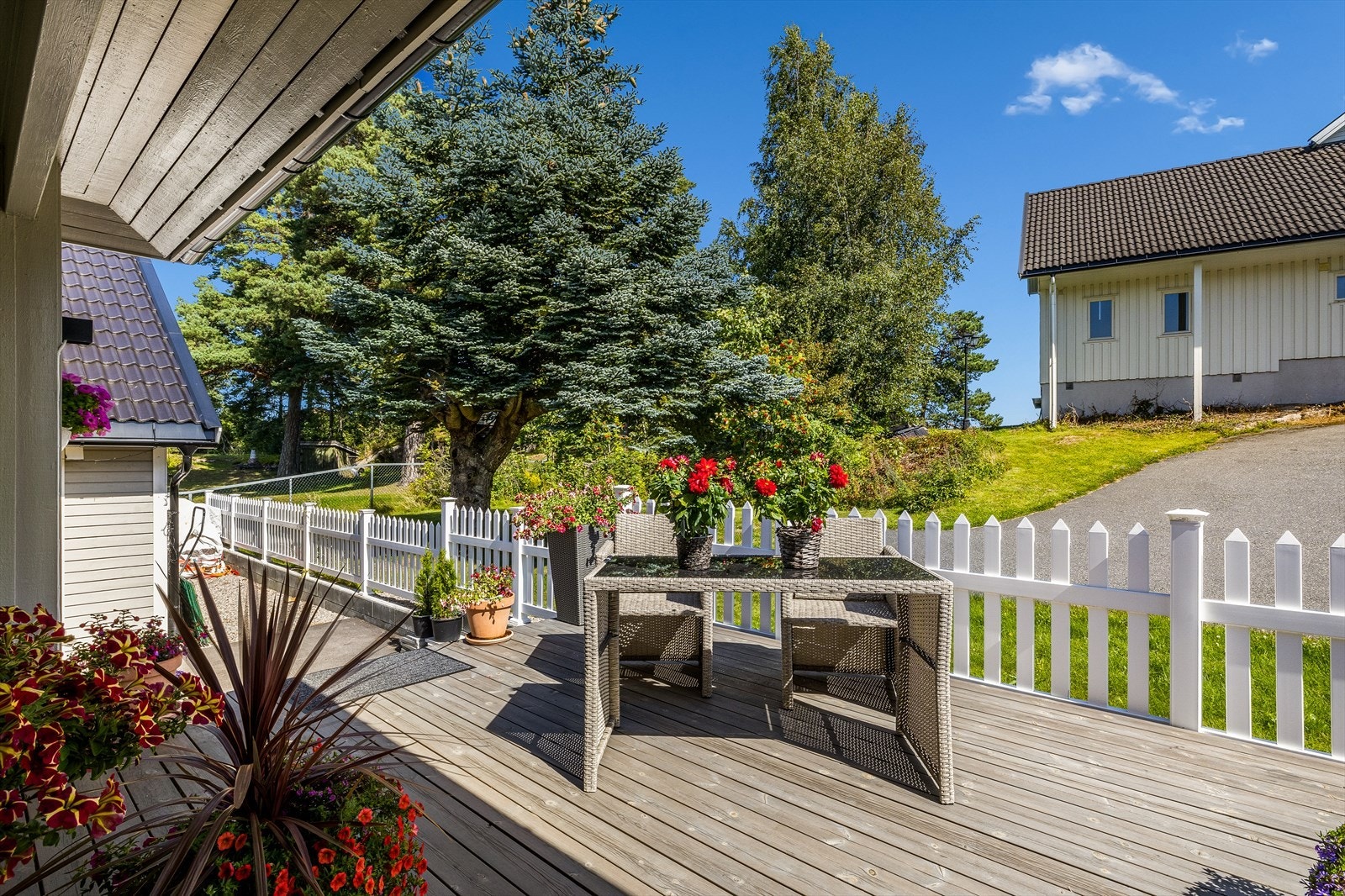 Virkelig en flott plass til å nyte morgensolen. Galleribilde