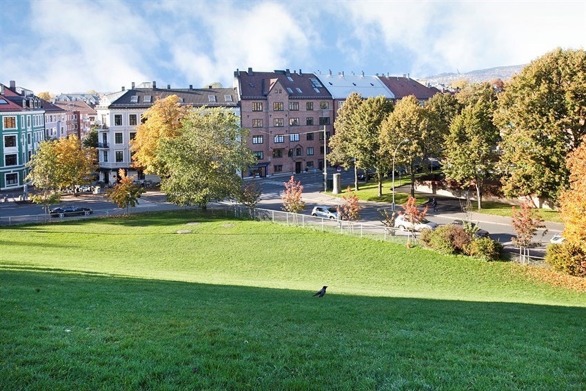 Idioten, en av flere parker i nærområdet. Det er også kort vei til Stensparken og St. Hanshaugen. Galleribilde