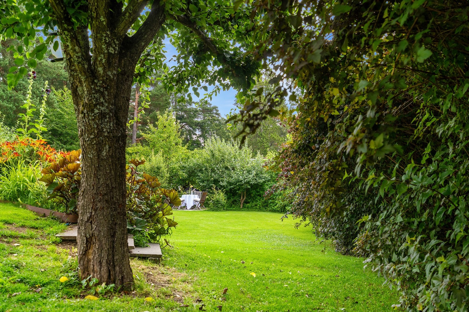 Nydelig hagetomt Galleribilde