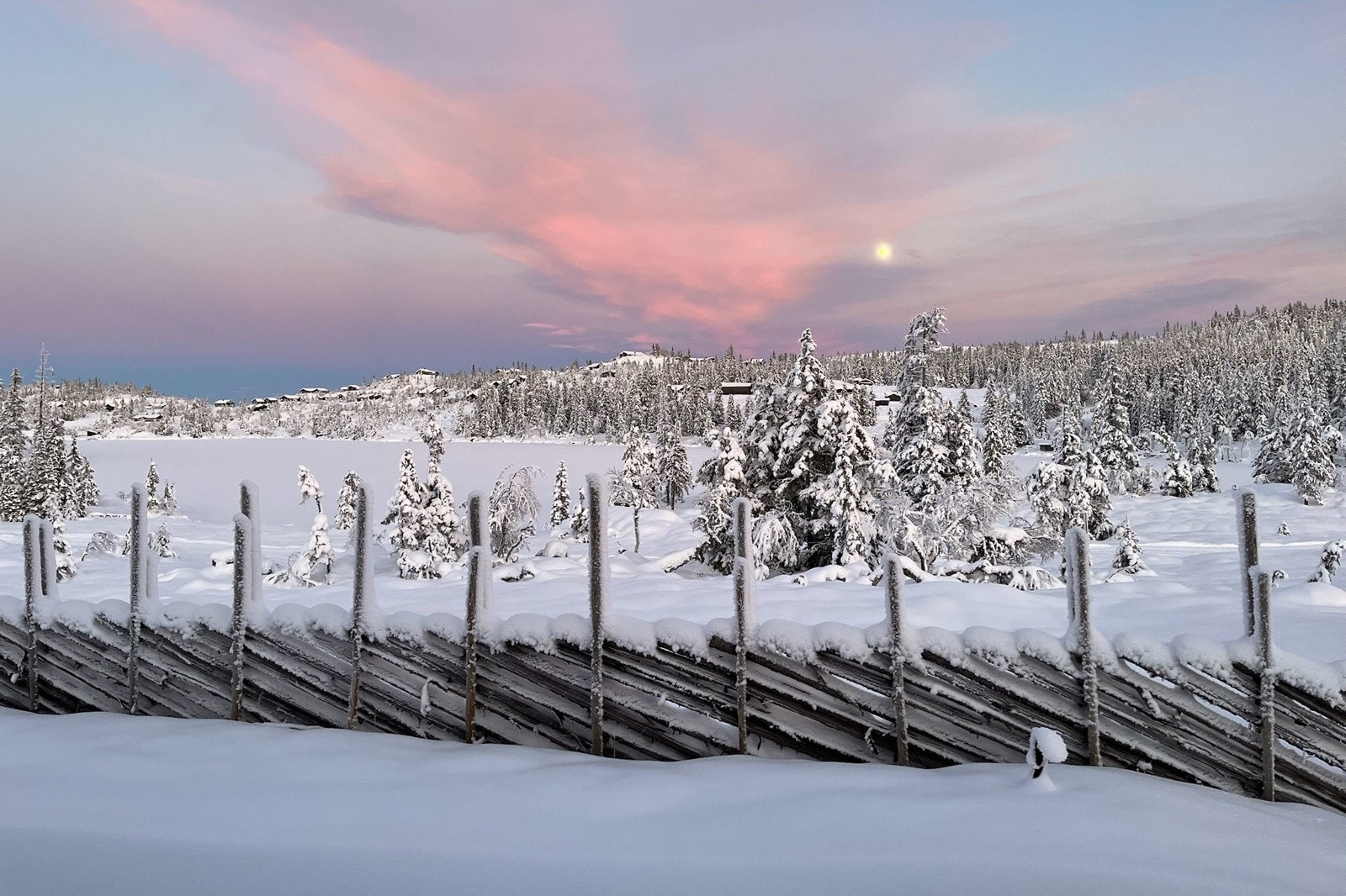 Selgers private bilde. Galleribilde