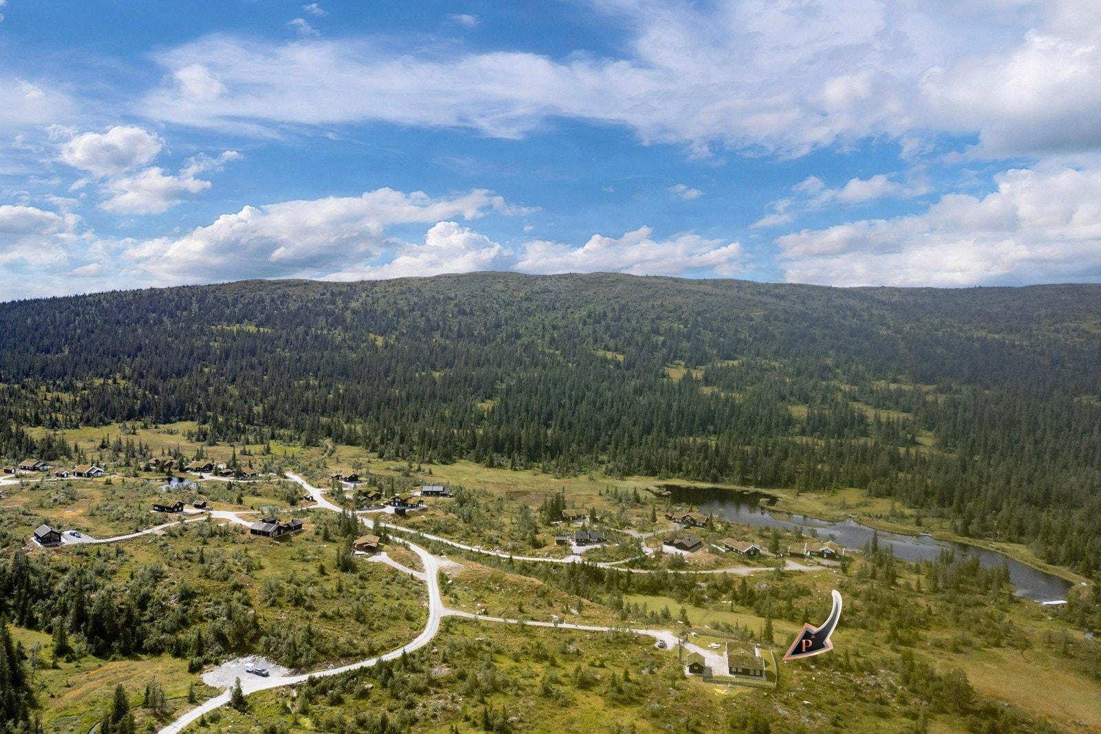 Nærområde. Galleribilde