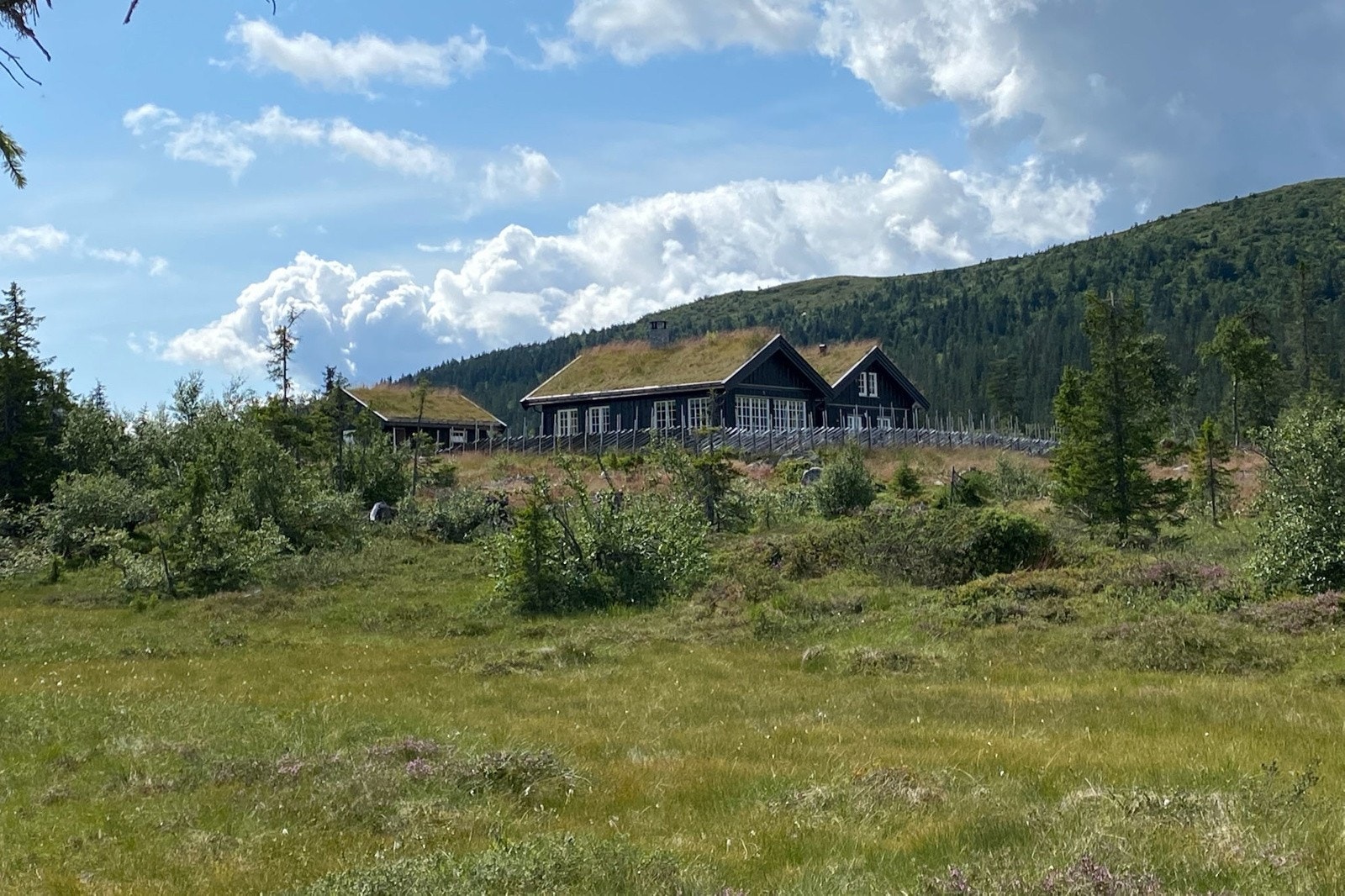 Selgers private bilde. Galleribilde