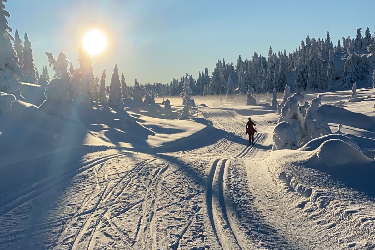 Turmuligheter. Galleribilde