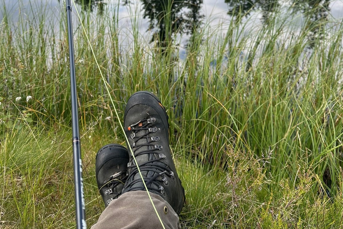 Selgers private bilde. Galleribilde