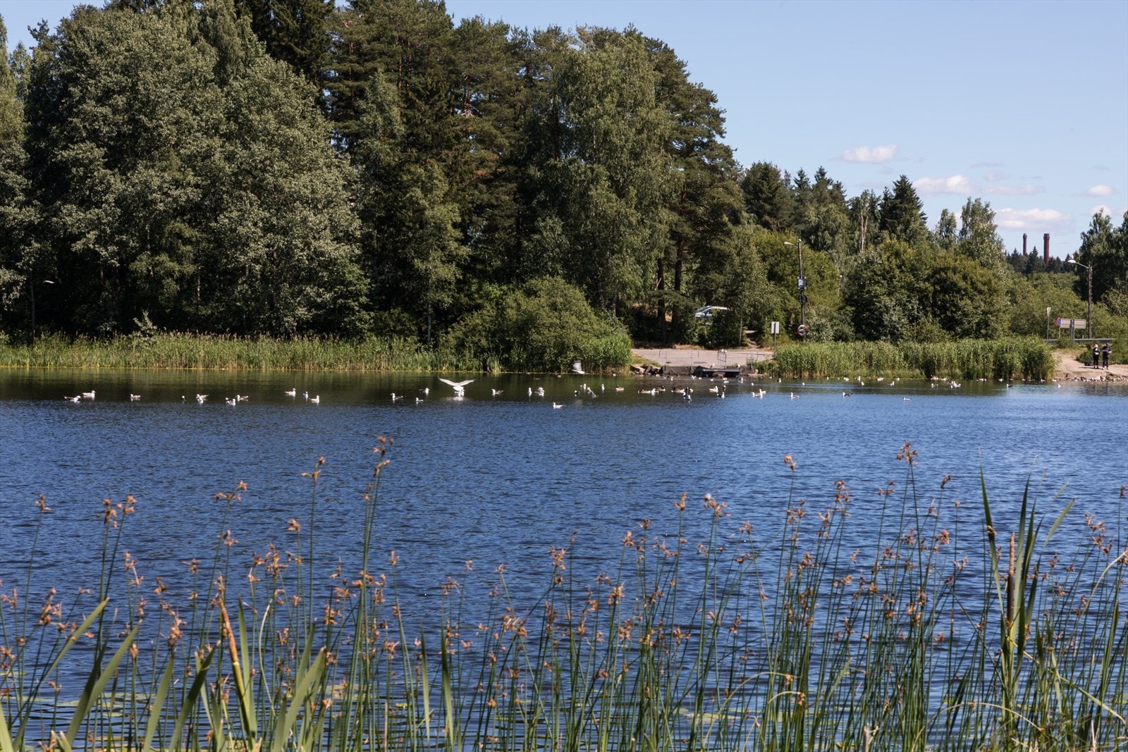 Det er nærhet til flotte tur- og friluftsområder i Østmarka med lysløyper, skiterreng, bade- og fiskevann. Galleribilde