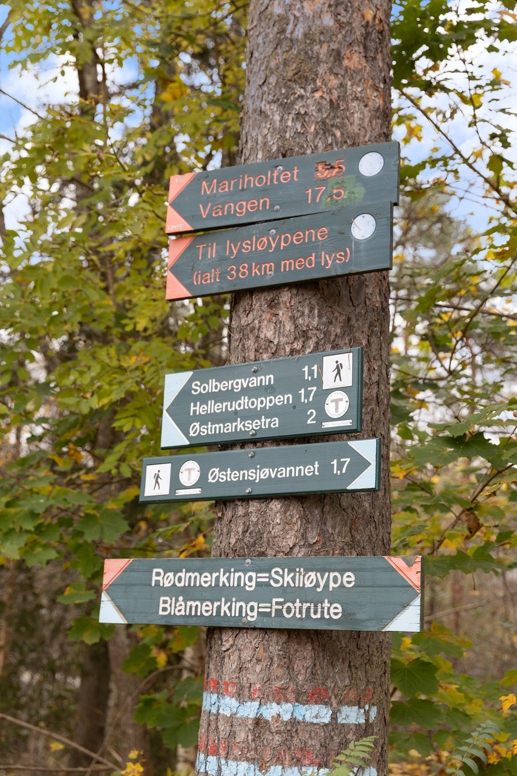 Fra boligen er det kun få minutters gange bort til inngangsporten til Østmarka, et eldorado for turglade både sommers- og vinterstid Galleribilde