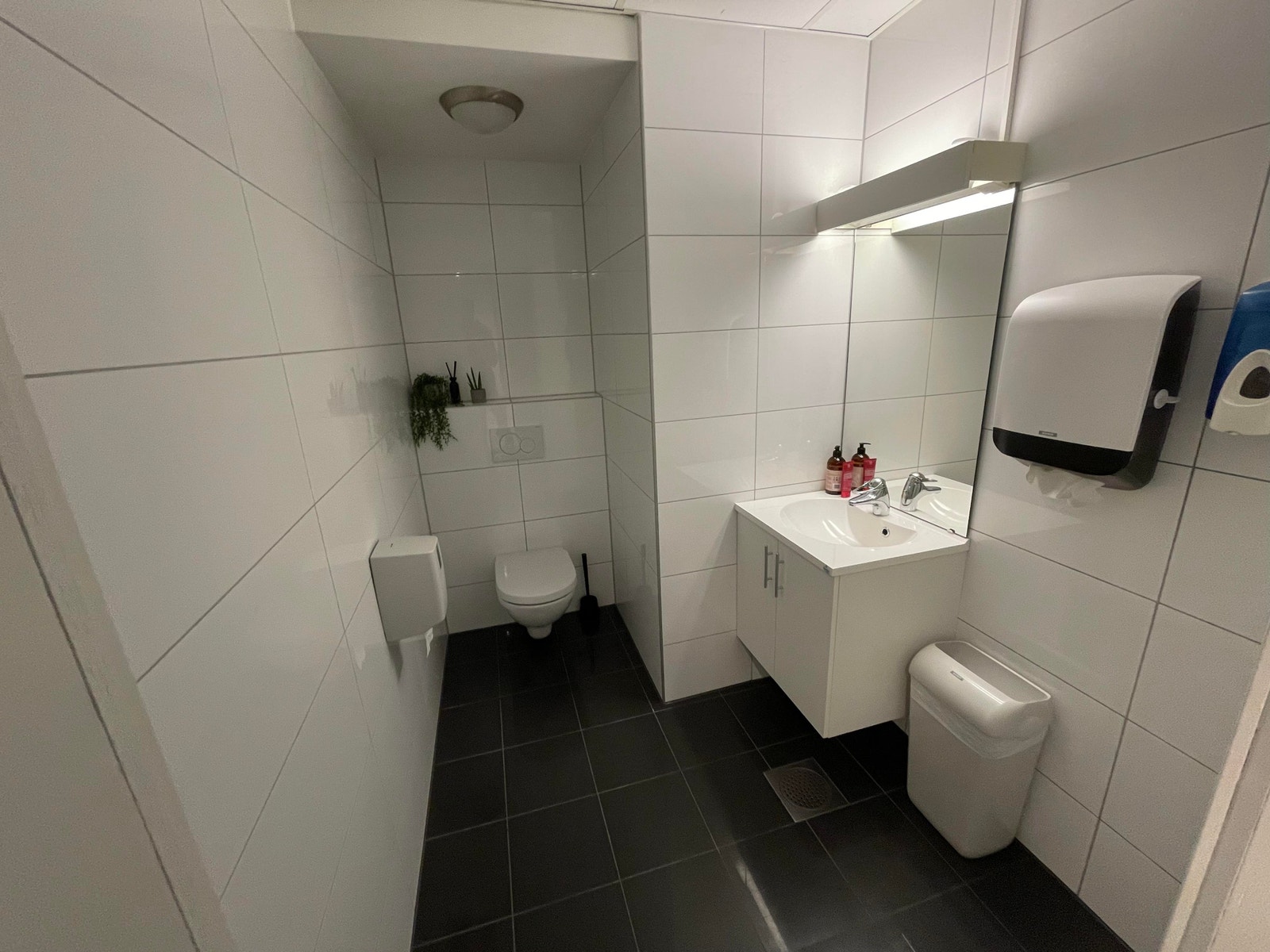 Wc rom 2 av 2 Galleribilde