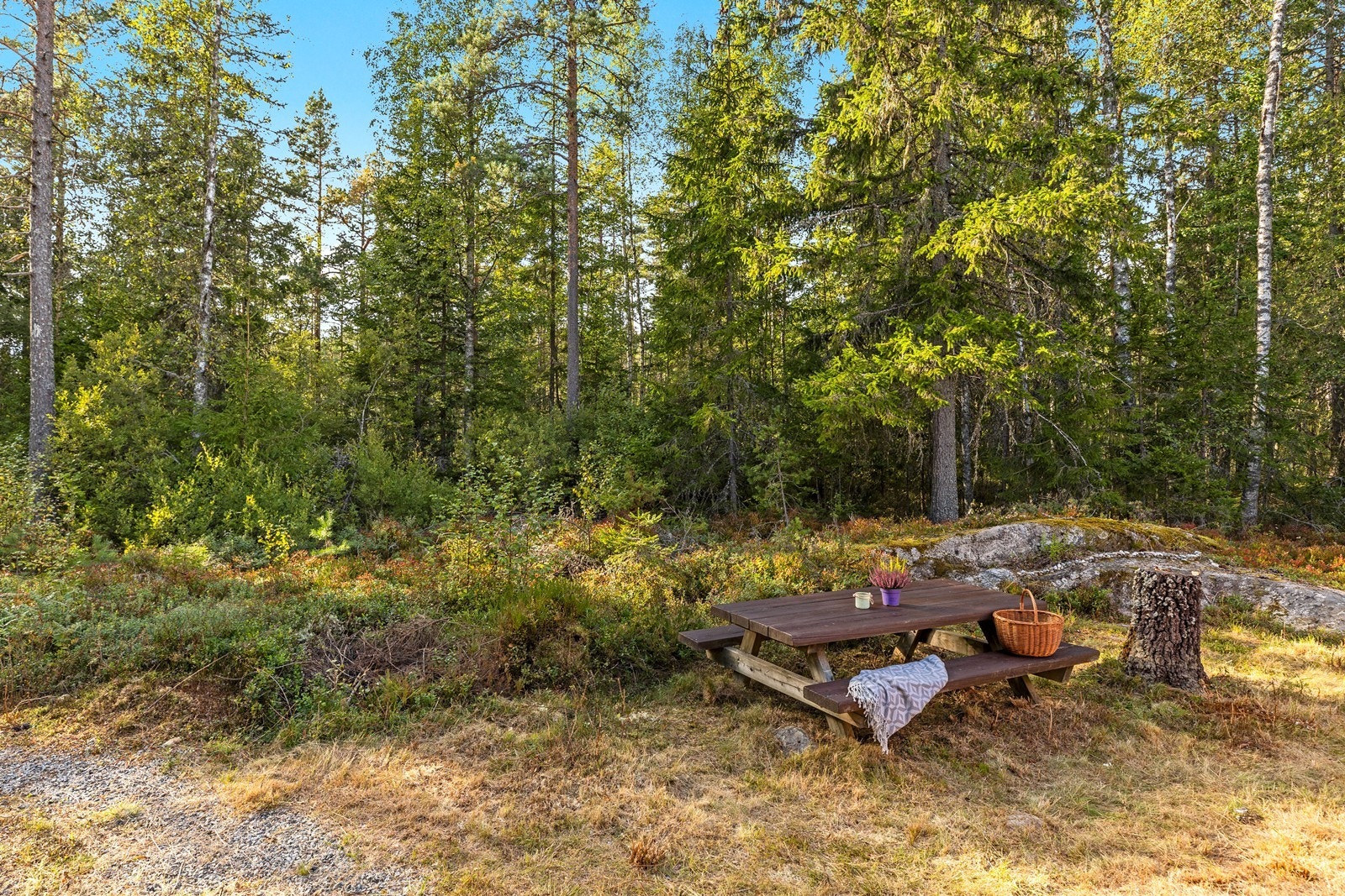 Parkering på egen tomt, rett ved hytta. Galleribilde
